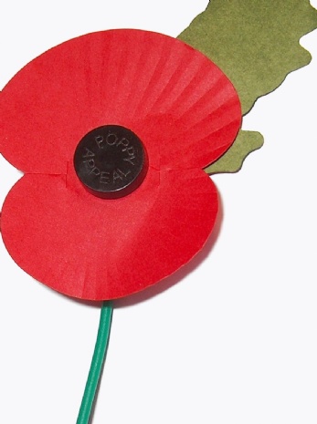 Lest We Forget - Shared Learning Week